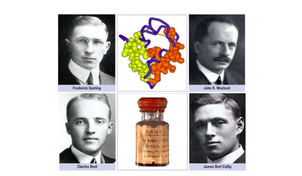 Frederick Banting, John Macleod, Charles Best et James Collip, autour d’une molécule d’insuline et d’un flacon. Rostène W, De Meyts P. Endocr Rev. 2021 Sep 28;42(5):503-527.