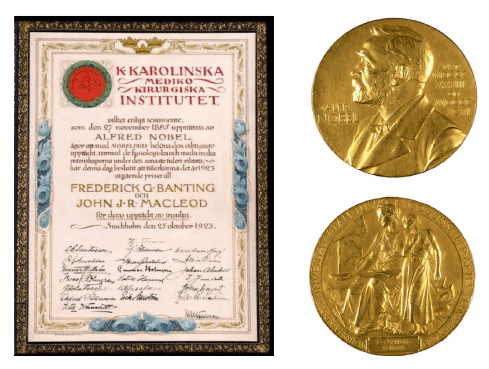 Diplôme et médailles du prix Nobel attribués à Banting et Macleod. Thomas Fisher Rare Book Library, University of Toronto. Reproduit par Rydén L, et al. Diabetes Res Clin Pract. 2021 May;175:108819.